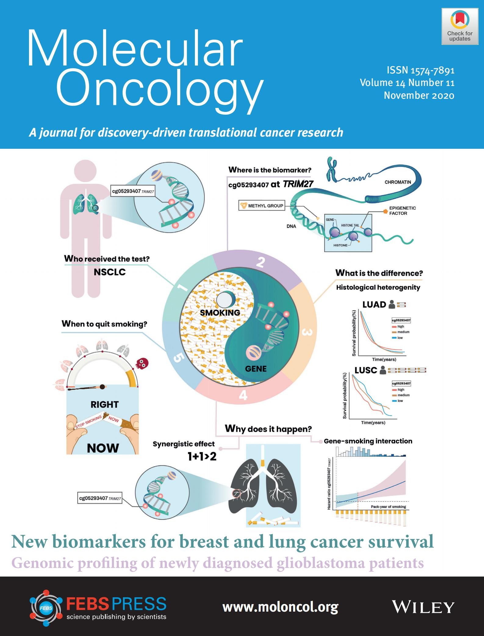 标题:epigenetic-smoking interaction reveals histologically